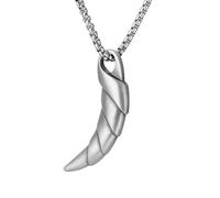 RZRPYFMM Pendentif Dent De Loup En Étain Pur Pour Homme, Collier Dent De Loup Vintage Gothique Viking,Argent,Pendant + Chain 50cm