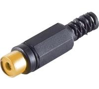 S/CONN maximum connectivity Raccord RCA