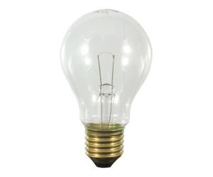 S+H Scharnberger+Hasenbein Lampe pour four AGL B60x105 E27 240V 60W 300° Quantité:1
