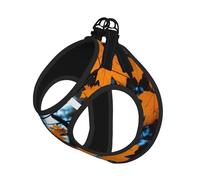 S Laisse Gilet Harnais pour Chien - Petite Taille Feuilles Automne Arbre Branches Imprimés Ensemble Laisse Réfléchissante pour Extérieur et Promenade Chien