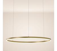 s.luce Ring 100 LED Lampe Suspendue Directe Ou Indirecte, Suspension 5m