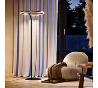 s.luce Ring Lampe Sur Pied Touchdimmer Ø 60cm Noir Or 172,5cm