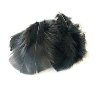 s m sas Environ 25 Plumes Coloris Noir Deco fête Mariage Costume déguisement