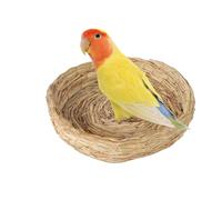 s Maison d'élevage d'oiseaux | Cage d'éclosion à base plate, volière pour pigeons, perroquets, lapins, hamsters, gerbilles, cochons d'Inde, Chinchillas, Accessoires pour cages à oiseaux