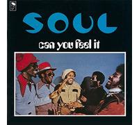 Can You Feel It ? Vinyle