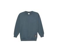 s.Oliver Junior 2160639 Pull-Over, 9515, 152 Garçon