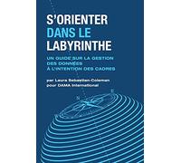 S’orienter Dans Le Labyrinthe: Un Guide Sur La Gestion Des Données À L’intention Des Cadres
