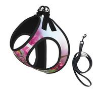 S Pet Harnais pour chien - Petite taille, imprimé colibri fantaisie réglable pour les voyages en plein air et la marche