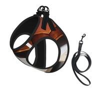 S Pet Laisse gilet et harnais pour chien - Ensemble de laisse imprimé livre de violon de petite taille avec boucle, compagnon canin de voyage en plein air