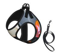 S Pet Laisse gilet et harnais pour chien - Ensemble de laisse imprimé violon et livre de petite taille avec boucle, compagnon canin de voyage en plein air