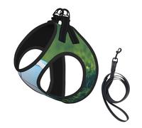 S Pet Laisse Gilet Harnais pour Chien - Ensemble de laisse de petite taille avec motif ballon de football vert sur herbe avec boucle, compagnon canin pour promener le chien