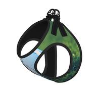 S Pet Laisse Gilet Harnais pour Chien - Ensemble de laisse de petite taille avec motif ballon de football vert sur herbe avec boucle, compagnon canin pour promener le chien
