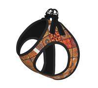 S Pet Laisse Gilet Harnais pour Chien - Ensemble de laisse de petite taille, groupe de motifs géométriques marocains en maille respirante pour chiots