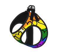 S Pet Laisse Gilet Harnais pour Chien - Ensemble de laisse de petite taille, motif arc-en-ciel Gay Pride imprimé chiot maille respirante pour compagnons canins