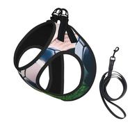 S Pet Laisse Gilet Harnais pour Chien - Ensemble de Laisse Imprimé Ballon de Football Petite Taille avec Boucle, Compagnon Canin Outdoor Chien Promenade