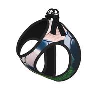 S Pet Laisse Gilet Harnais pour Chien - Ensemble de Laisse Imprimé Ballon de Football Petite Taille avec Boucle, Compagnon Canin Outdoor Chien Promenade