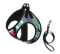 S Pet Laisse Gilet & Harnais pour Chien - Ensemble de Laisse Imprimé Bonhomme de Neige Joyeux Noël Petite Taille avec Boucle, Compagnon Canin Voyage en Plein Air
