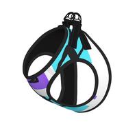 S Pet Laisse Gilet & Harnais pour Chien - Ensemble de Laisse Imprimé Jeu de Gymnastique Petite Taille avec Boucle, Compagnon Canin Voyage en Plein Air