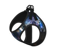 S Pet Laisse Gilet Harnais pour Chien - Petite Taille Aérienne Night of View Hong Kong Print Laisse Ensemble avec Boucle, Compagnon Canin Outdoor Dog Promenade