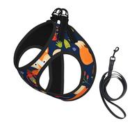 S Pet Laisse Gilet & Harnais pour Chien - Petite Taille Animal Mignon Renard Imprimé Fleur Ensemble Laisse avec Boucle, Compagnon Canin Voyage en Plein Air