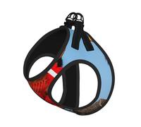 S Pet Laisse Gilet Harnais pour Chien - Petite Taille Belle Imprimé Oiseau Rouge Ensemble Laisse avec Boucle, Compagnon Canin Outdoor Chien Promenade