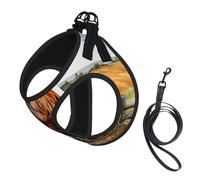 S Pet Laisse Gilet Harnais pour Chien - Petite Taille Coq sur Bois dans les Terres agricoles Ensemble de Laisse Imprimé avec Boucle, Compagnon Canin Outdoor Chien Promenade