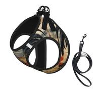 S Pet Laisse Gilet Harnais pour Chien - Petite Taille Coq sur Bois dans les Terres agricoles Ensemble de Laisse Imprimé avec Boucle, Compagnon Canin Outdoor Chien Promenade