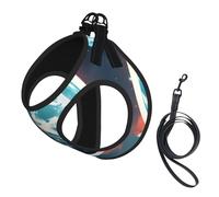S Pet Laisse Gilet Harnais pour Chien - Petite Taille Espace Planète Terre Imprimé Laisse Ensemble avec Boucle, Compagnon Canin Outdoor Chien Promenade