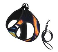 S Pet Laisse Gilet & Harnais pour Chien - Petite Taille Espace Spirale Cosmique Imprimé Énergie Cosmique Ensemble Laisse avec Boucle, Compagnon Canin Voyage en Plein Air