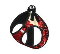 S Pet Laisse Gilet Harnais pour Chien - Petite Taille Fleur Vortex Spirale Imprimé Laisse Set avec Boucle, Compagnon Canin Outdoor Chien Promenade