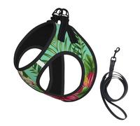 S Pet Laisse Gilet & Harnais pour Chien - Petite Taille Hawaïen Imprimé Feuilles Tropicales Fleurs avec Boucle, Compagnon Canin Voyage en Plein Air