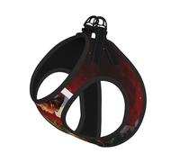 S Pet Laisse Gilet Harnais pour Chien - Petite Taille Imprimé Magique Noël Laisse Ensemble avec Boucle, Compagnon Canin Outdoor Dog Promenade