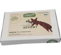 Saatgut Dillmann Coffret de Cresson Bio - Étoile Filante Joyeux Noël - 1 pcs