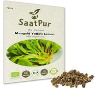 SaatPur Bio Graines de bette à carde jaune Yellow Graines à germer Microgrreen Pousses à germer Microgreen - 30g - à semer sur terreau