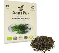 SaatPur Pousses germées bio - Chicory Red Italico - Graines germées pour la culture de pousses à la maison - 15g