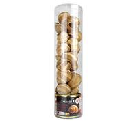 Sabarot - Set Escargots de Bourgogne 2 douzaines + Coquilles 125g