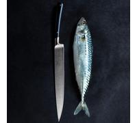 Sabatier - Couteau à Filet de Sole EDONIST JAIS 100% Forgé - 18 cm