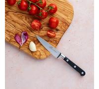 ROUSSELON DUMAS SABATIER Couteau Office 10 cm - Idéal Inox & Rivets inox - Lion Sabatier