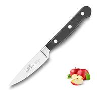 Sabatier - Couteau Office PLUTON - 10 cm - Lame et Rivets en Inox - Parfait pour les Tâches de Précision comme Eplucher, Découper et Parer les Fruits et Légumes