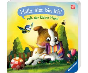 Sabine Praml Ir "Hallo, hier bin ich", ruft der kleine Hund: Meine alle (Poche)