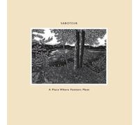 Saboteur - A Place Where Painters Me [Import]