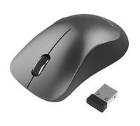 SABRENT Souris sans Fil 2.4GHz avec 3 Boutons et Un Nano récepteur (MS-WRLS)