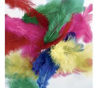 Sac 20 Plumes De Coq Ht.70 - Assortiment Vif
