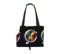 Sac à bandoulière léger et respirant pour petit animal de compagnie, motif lion WZYCWB dans le miroir