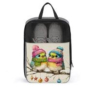 Sac à chaussures de golf avec motif oiseaux mignons portant des chapeaux d'hiver colorés pour voyage, usage quotidien, sac de rangement anti-poussière