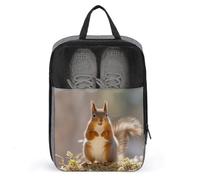 Sac à chaussures de voyage portable, imprimé écureuil, sac à chaussures ventilé, organiseur de rangement avec fermeture éclair, gris, Taille unique, Sac à chaussures