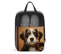 Sac à chaussures pour voyage, dressage de chien, pochette à chaussures avec fermeture éclair, sac à chaussures de golf respirant pour homme et femme, organiseur de chaussures d'extérieur pour le