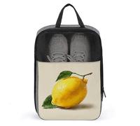 Sac à chaussures rétro pour voyage, usage quotidien, sac de rangement anti-poussière pour chaussures de golf