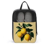 Sac à chaussures vintage avec imprimé citrons fruits pour voyage, usage quotidien, sac de rangement anti-poussière pour chaussures de golf