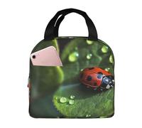 Sac à déjeuner isotherme réutilisable pour femme - Boîte à déjeuner isotherme pour bureau, voyage, petite coccinelle - Sac fourre-tout étanche pour homme - Grande capacité